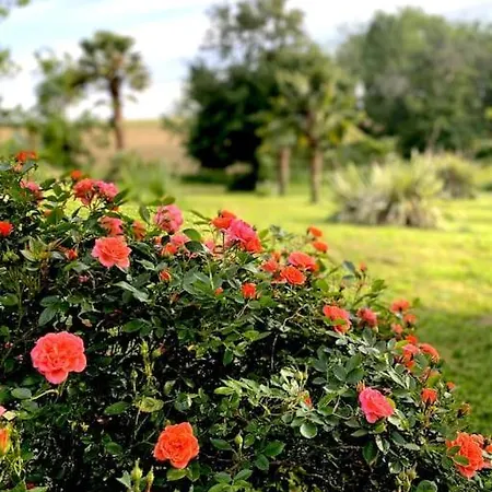 De Charme Avec Piscine Dans Le Gers « le Clos Boissiere » Valence-sur-Baïse