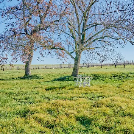 De Charme Avec Piscine Dans Le Gers « le Clos Boissiere » Valence-sur-Baïse