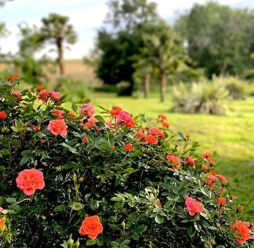 De Charme Avec Piscine Dans Le Gers « le Clos Boissiere » Valence-sur-Baïse