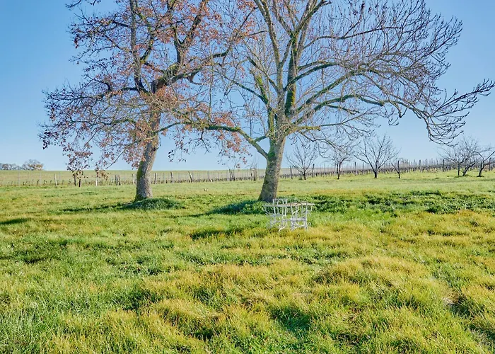 De Charme Avec Piscine Dans Le Gers « le Clos Boissiere » Valence-sur-Baïse